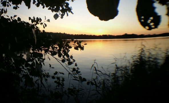 Auringonlasku järvellä haavan lehtien takana