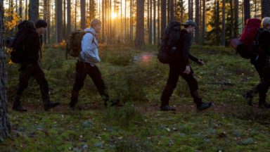 Neljä nuorta kävelee metsässä, aurinko siintää puiden välistä taustalla
