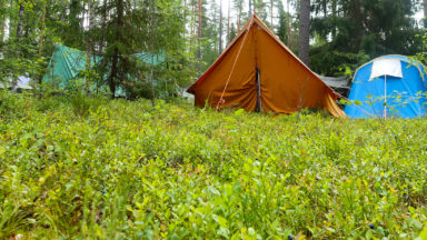 Kuvassa telttoja metsässä