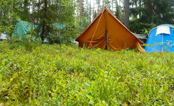 Kuvassa telttoja metsässä